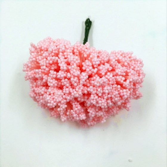 Gipsofila boja breskve