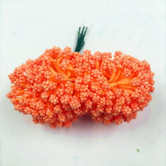 Gipsofila narančasta