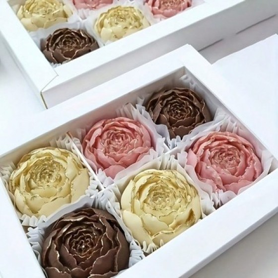 Silikonski kalupi/set